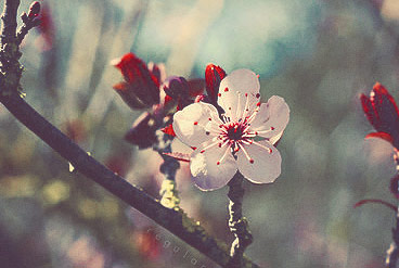 批发价格的免费ddos压力测试平台